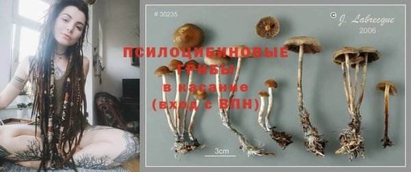 ПСИЛОЦИБИНОВЫЕ ГРИБЫ Лихославль