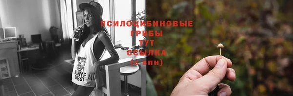 2c-b Липки