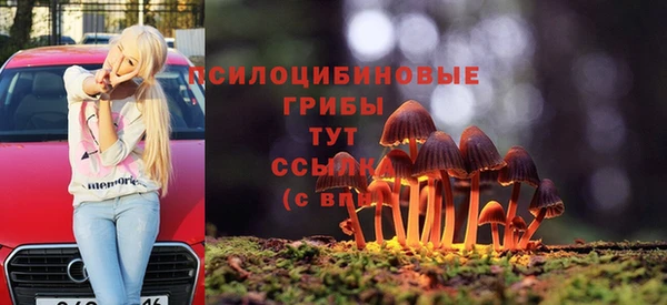 2c-b Липки