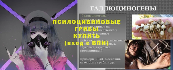 ПСИЛОЦИБИНОВЫЕ ГРИБЫ Лихославль